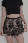 EDEL Lace Shorts (Dusk Black)